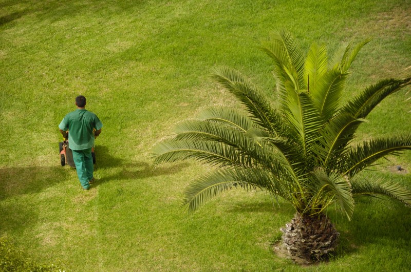 Finding the Right Professional to Perform Regular Yard Maintenance Broomfield CO