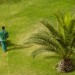 Reasons to Choose Professional Lawn Care in Waukesha, WI