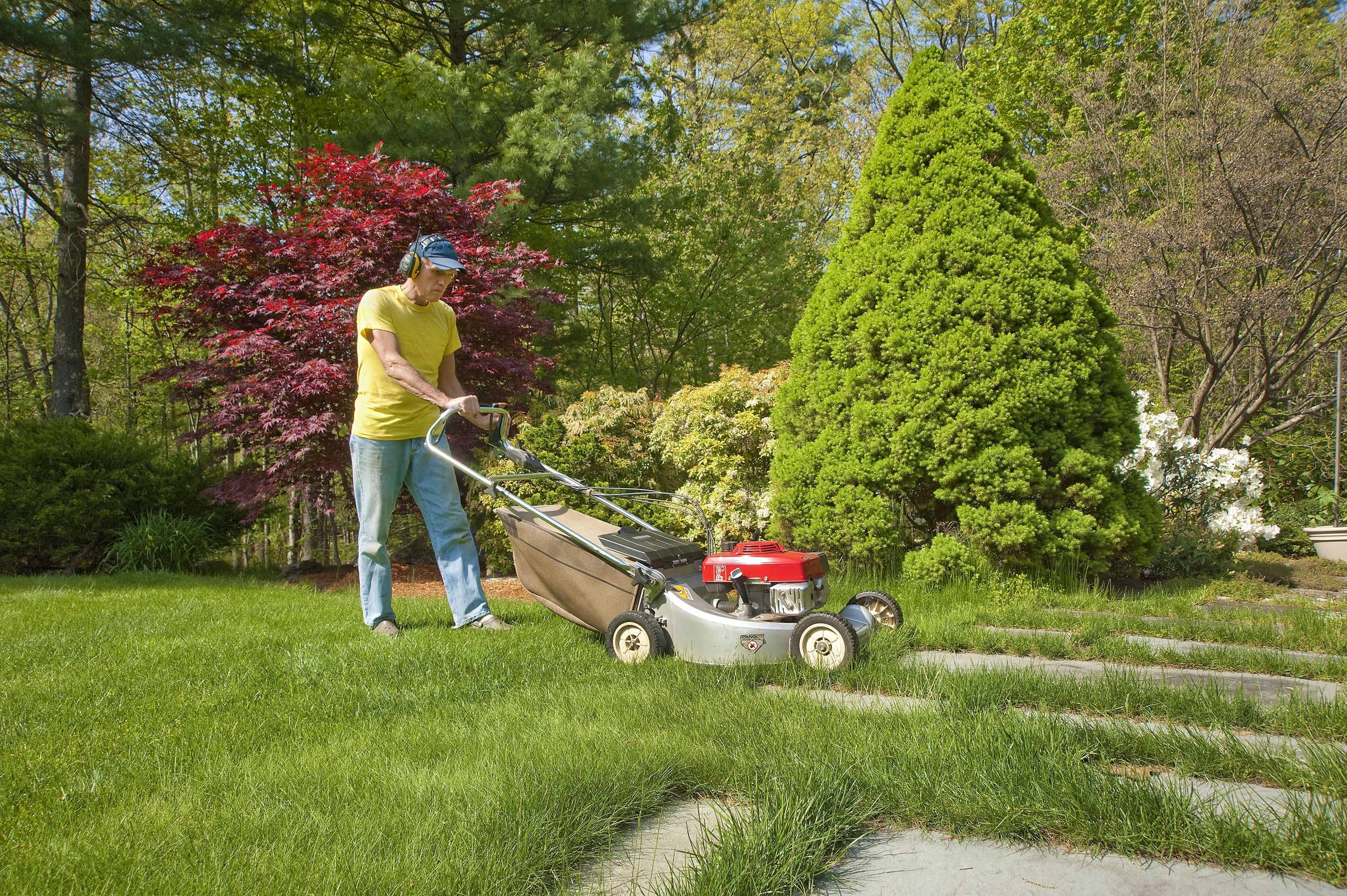 Improve Your Curb Appeal With a Trusted Landscaping Company in Charlotte NC
