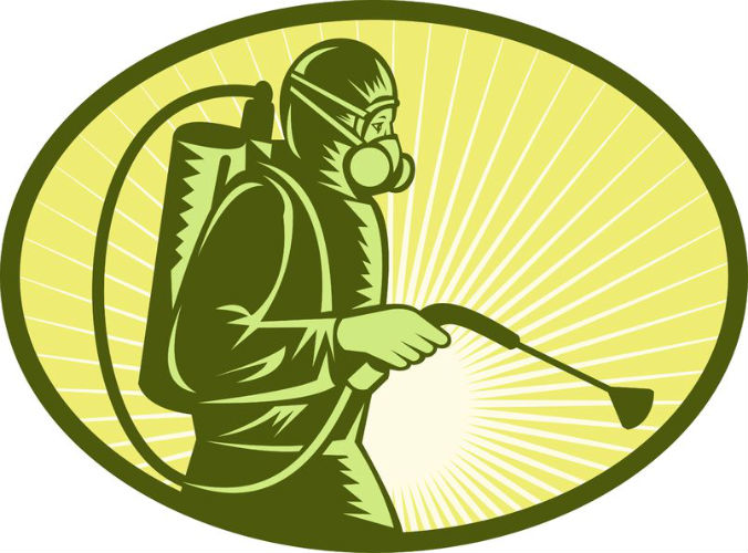 Do You Need a Termite Exterminator in Plymouth, MA?