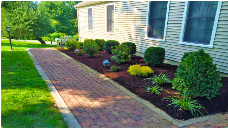 What to Consider when Planning Landscape Designs in Fairfield CT?