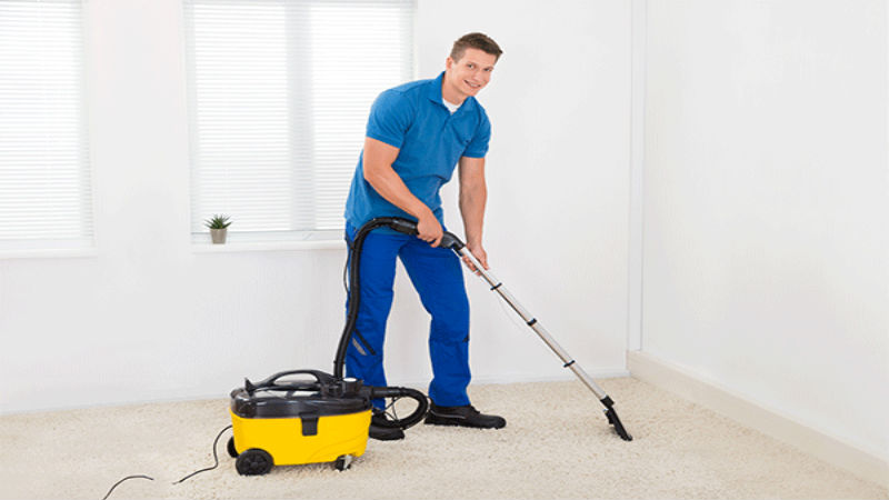 Professional Carpet Cleaners in Anacortes WA Drastically Reduce Allergens in the Home
