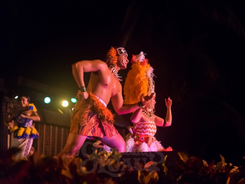 Discover the History and Beauty of Hula Auana in Hawaii