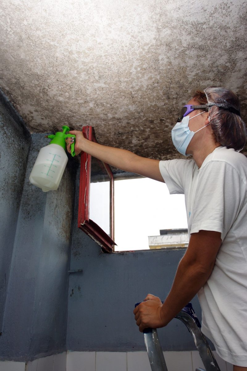 Mold Remediation Is A Part Of Pest Management Services In Ashburn, VA