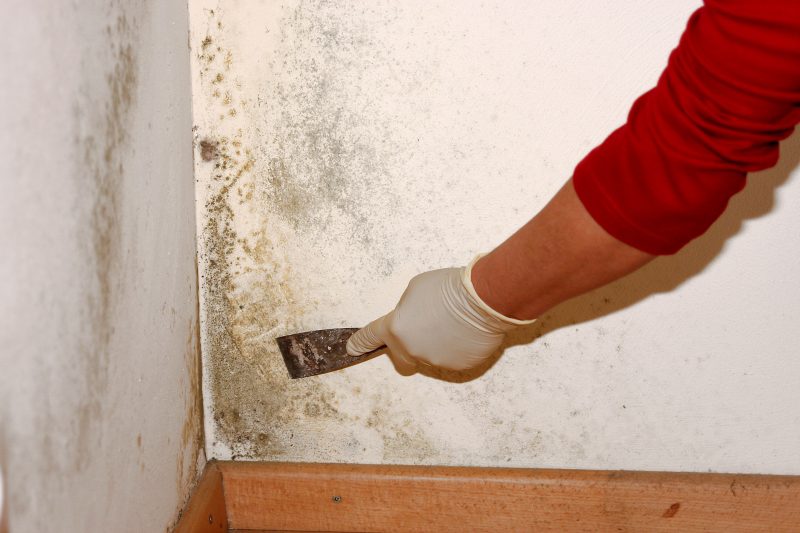 The Most Common Products Used By A Company That Provides Caulking Services in Wilmington DE