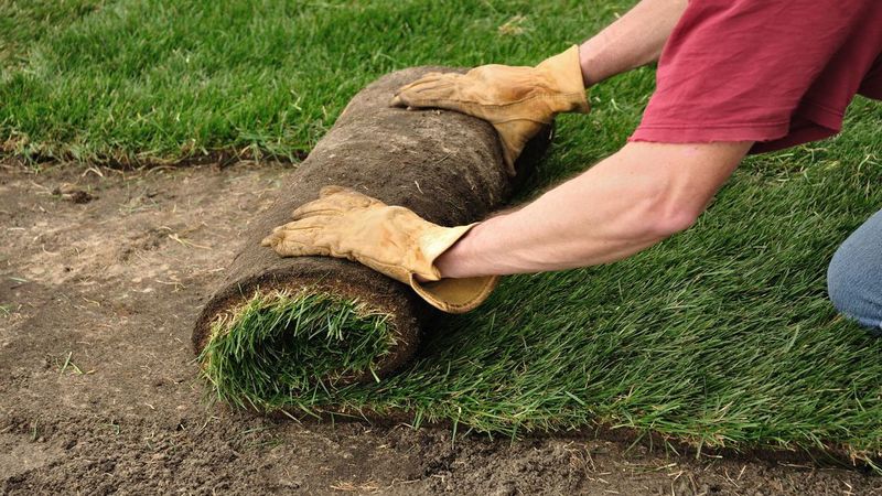 Get Rid Of Ugly Stumps With Deep Stump Grinding in Fort Myers, FL