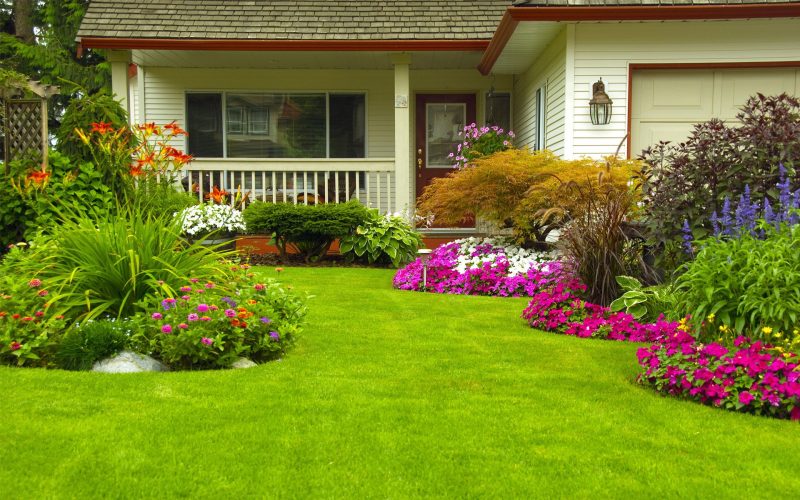 How Lawn Care Companies Near Fort Lupton, CO Can Help Transform Your Outdoor Space?