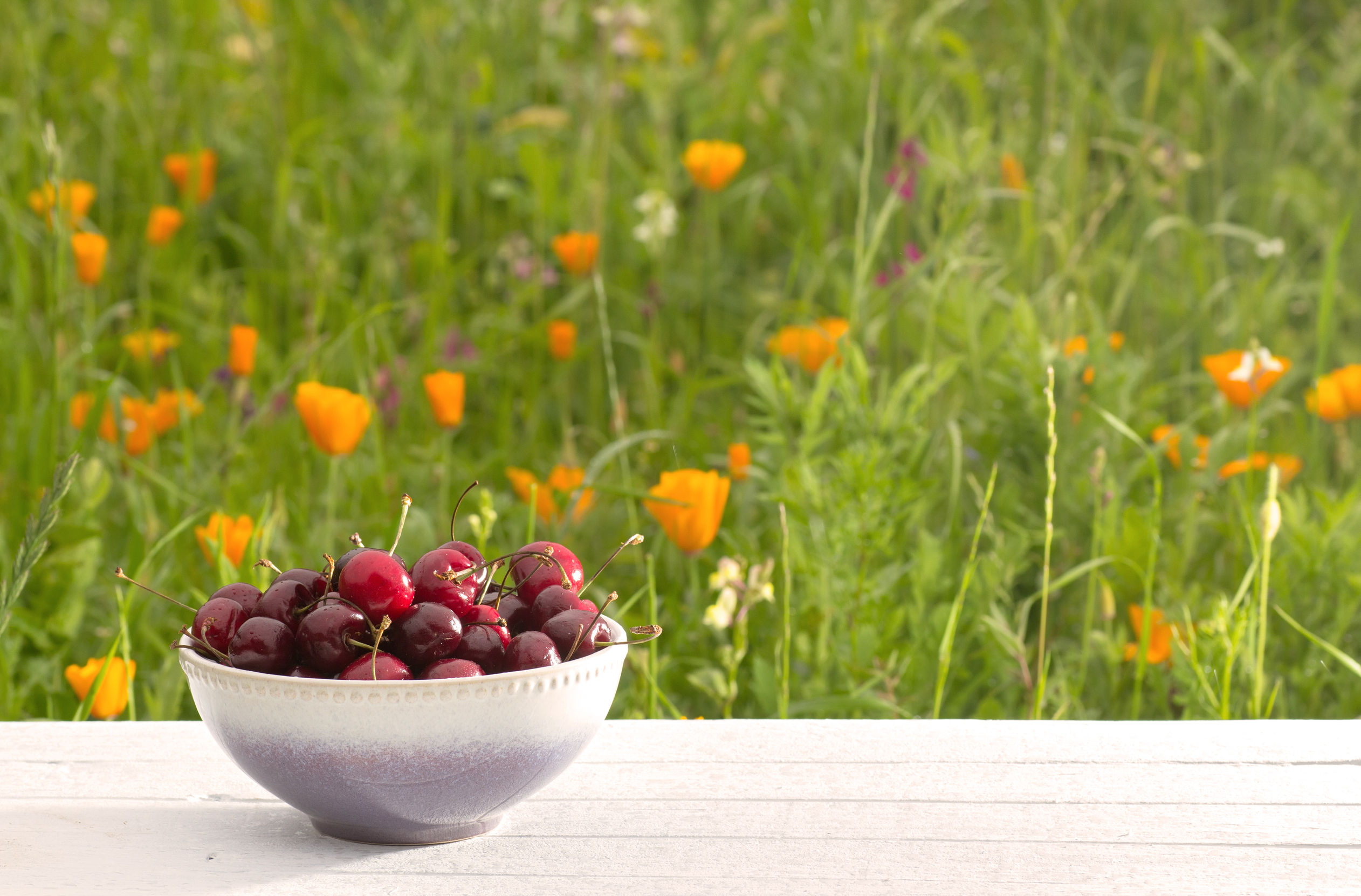 Reasons to Take Kids to a Fresh Strawberries Farm in Saint Francis