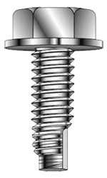Nothing But Quality Stainless Steel Thread-Forming Screws