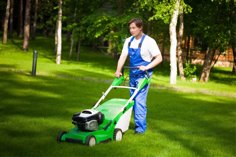 Lawn Treatment Services Gainesville, VA: Achieve a Healthy, Emerald Green Lawn