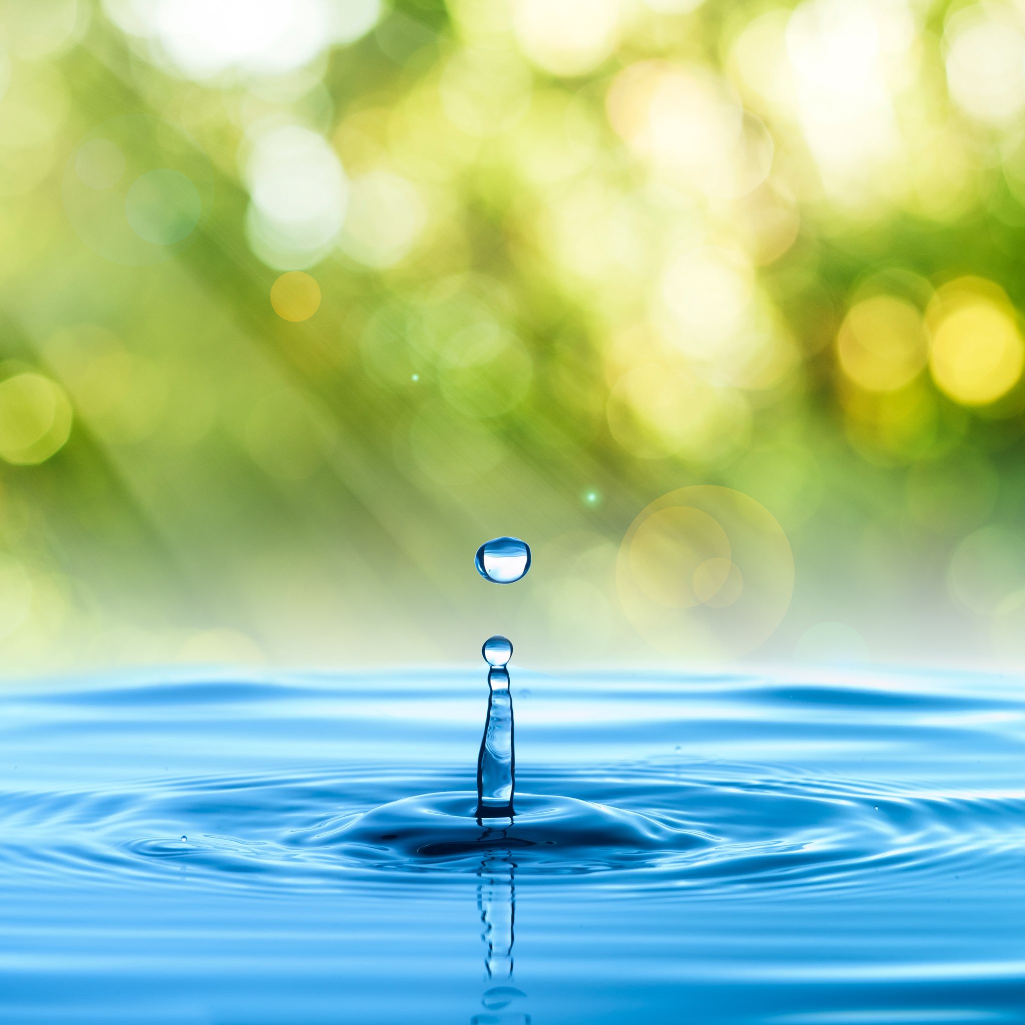 Securing Water Savings in Manitoba