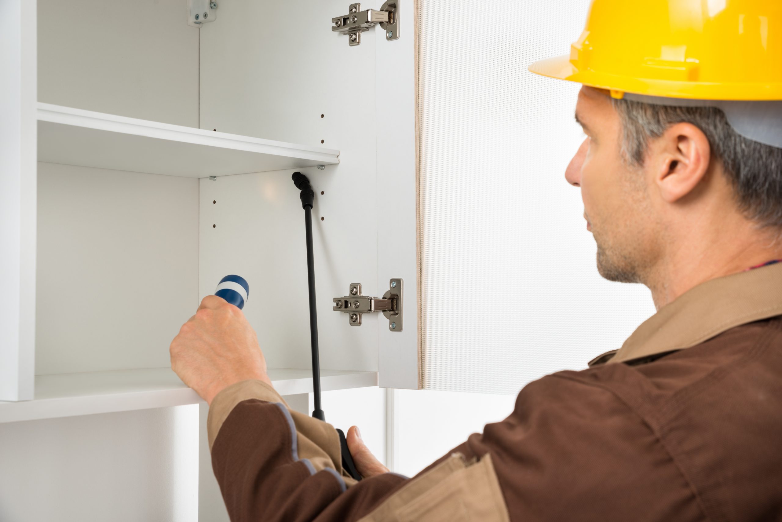 Effective Solutions Using Insect Control Moncton for a Pest Free Home Environment