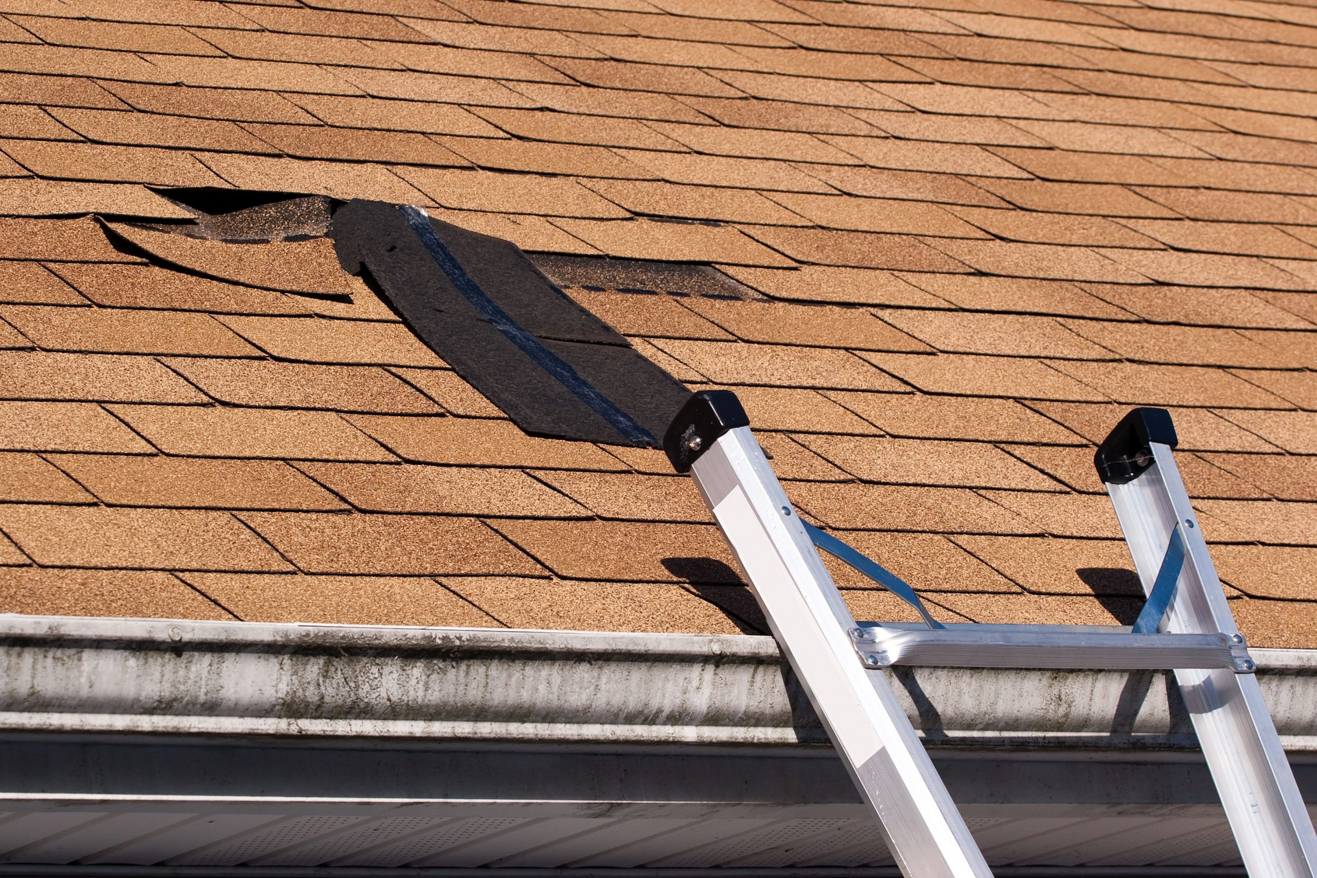 Getting Roof Repair in Sarasota County