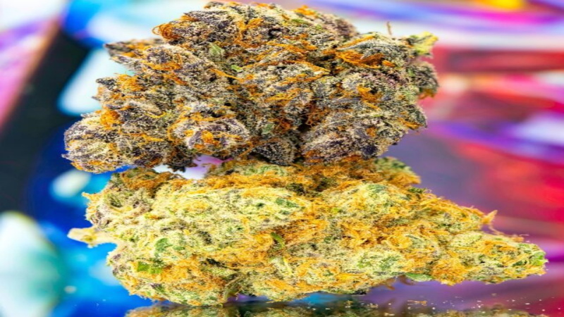 Top Things to Look for When Searching for the Best Dispensary in Denver