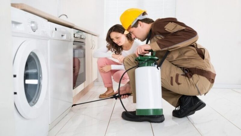 Find Reliable Pest Control Services in Peachtree City, GA Today