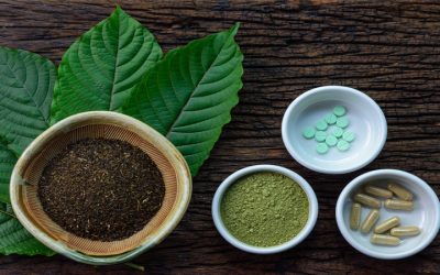 Experience the Thrill of Hangar 420 – An Unforgettable Journey!