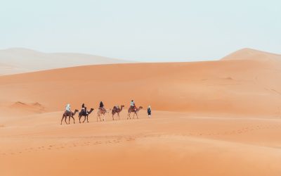 A Fascinating 4-Day Tour from Fes to Marrakech: Journey Through Morocco’s; Historic Sites, Scenic Deserts, and Lively Markets