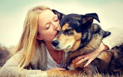 Understanding Dog Day Care Denver: A Guide for Pet Owners