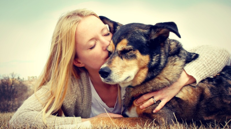 Understanding Dog Day Care Denver: A Guide for Pet Owners