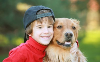 Organize Your Pet’s Playtime with the Perfect Dog Toy Box Solution