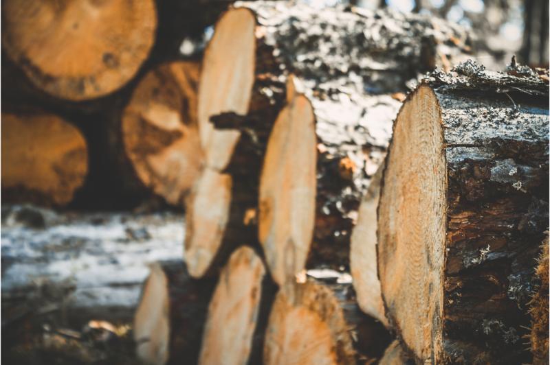 Choosing the Best Firewood For Sale Near NJ for Cozy Winter Nights at Home