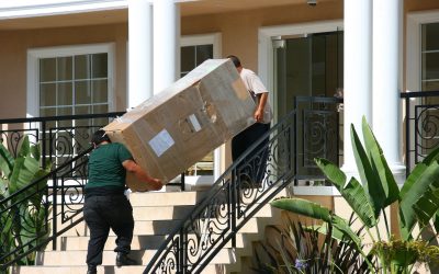Efficient Relocations with Moving Company Suffolk County Tailored to Your Needs