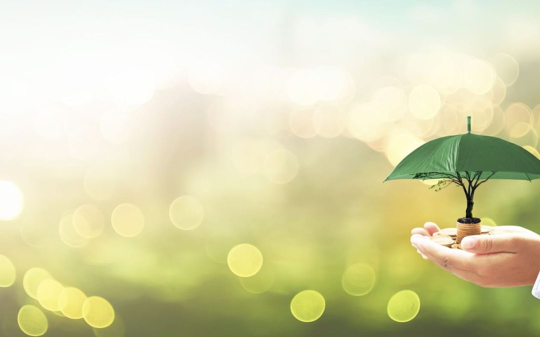 Revolutionising Garment Distribution in India: Challenges and Opportunities