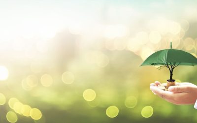 Revolutionising Garment Distribution in India: Challenges and Opportunities