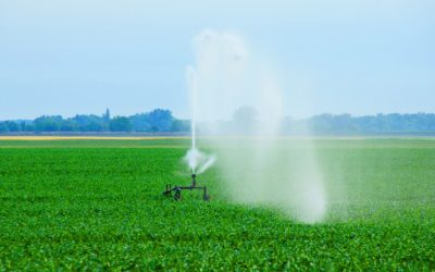 Keep Your Yard Green and Healthy with Irrigation Sprinkler Repair In Colorado Springs, CO