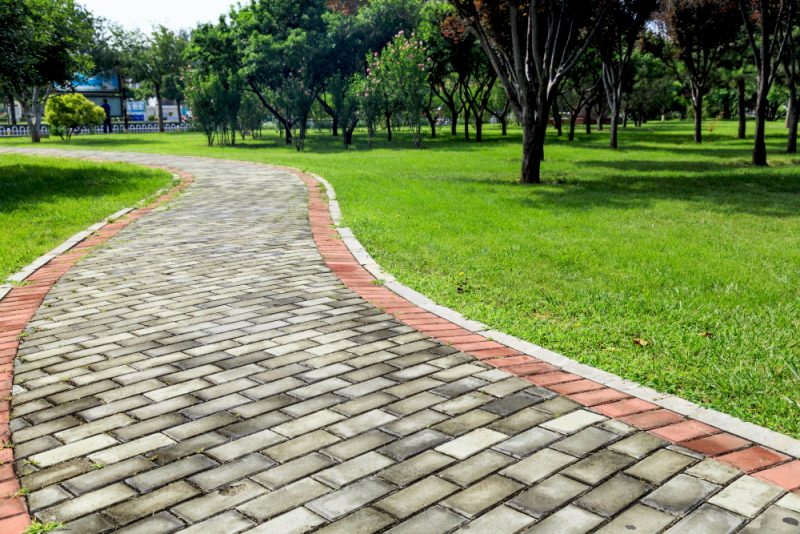 Top Landscaping Trends for 2025: Fresh Ideas for Residential Spaces