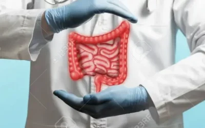 How a Gastrointestinal Physician Can Help with Digestive Disorders