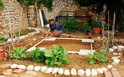 Effective Mosquito Control: Keep Bartlett, TN Homes Pest-Free