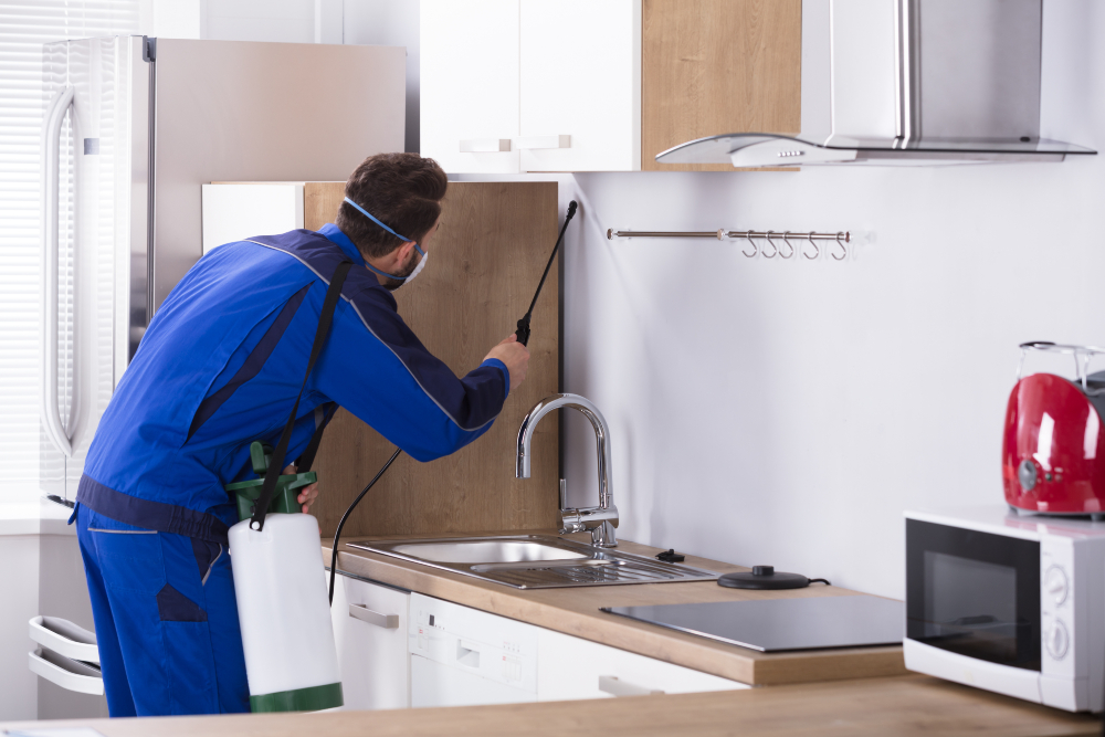 Benefits You Get from a Professional Pest Control Service in Bala Cynwyd, PA: Experts Provide