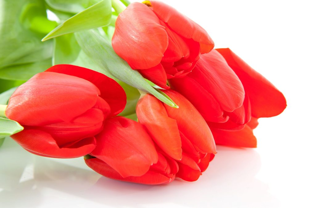 Planning a Meaningful Tribute at Volusia Memorial Funeral Home Port Orange FL Made Simple