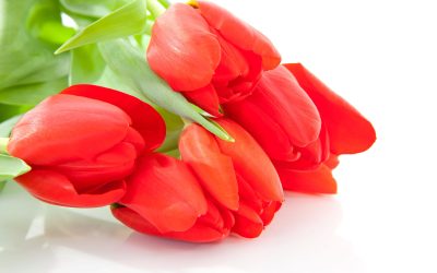 Planning a Meaningful Tribute at Volusia Memorial Funeral Home Port Orange FL Made Simple