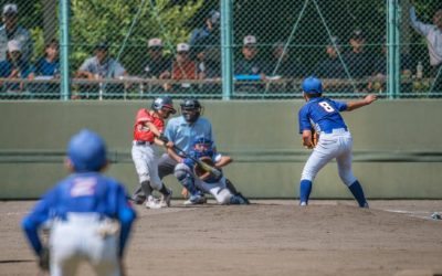 Softball Scholarship Opportunities: How to Find the Best Ones