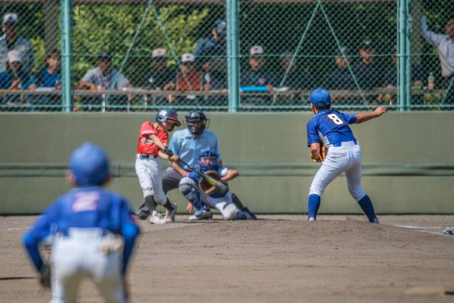 Softball Scholarship Opportunities: How to Find the Best Ones