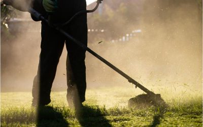 Transform Your Outdoor Space with Landscape Designers Cape Cod MA Perfect for Coastal Living