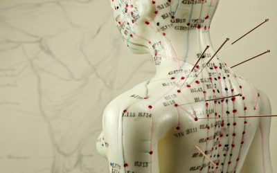 Boost Your Chances With Acupuncture Fertility Treatment Stratford, CT, Couples Trust