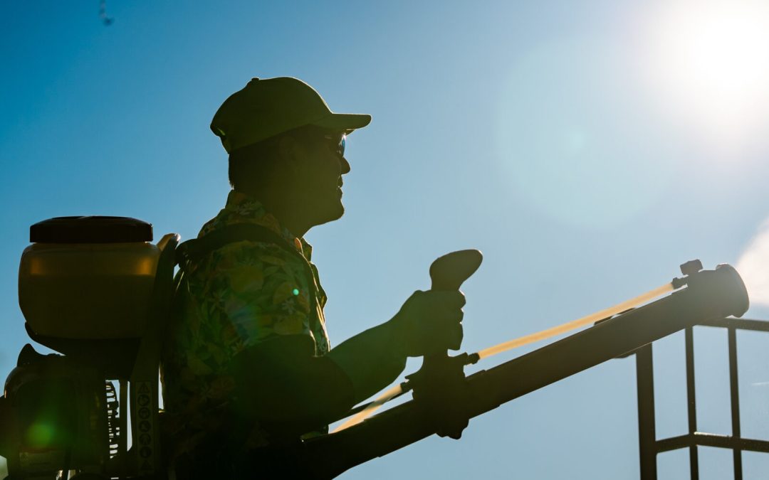 How to Choose the Right Flea and Tick Treatment for Home, Gainesville, VA Pet Owners