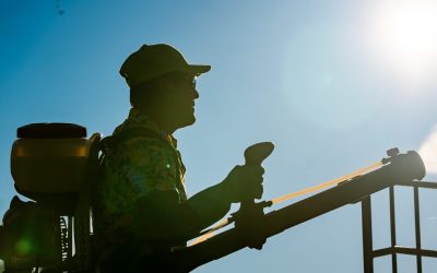 How to Choose the Right Flea and Tick Treatment for Home, Gainesville, VA Pet Owners