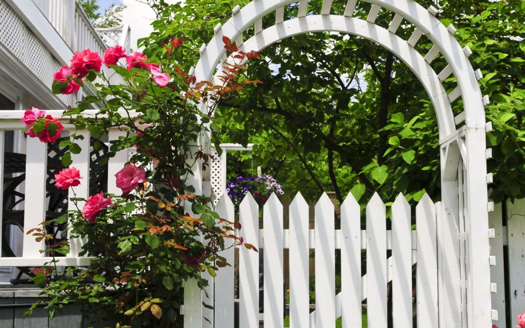 How a Residential Fence Contractor in Greenville, NC Enhances Curb Appeal Effortlessly