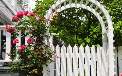 How a Residential Fence Contractor in Greenville, NC Enhances Curb Appeal Effortlessly