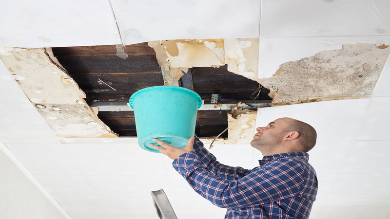 How Water Damage Companies Coon Rapids Help Homeowners Recover Fast After Disasters