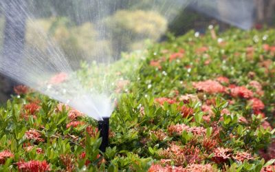 Protect Your Property With Reliable Residential Sprinkler Installation in Rhode Island Services