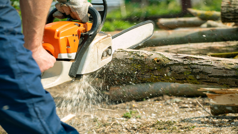Tree Removal Adams County CO Solutions for Managing Overgrown or Hazardous Trees