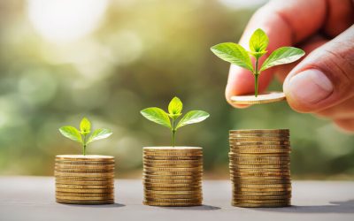 Key Strategies for Growing Your Portfolio with Wealth Management Ventura CA