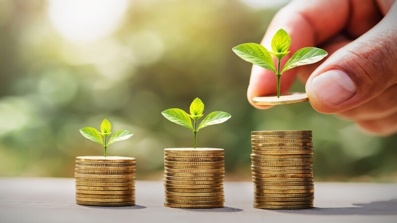 Key Strategies for Growing Your Portfolio with Wealth Management Ventura CA