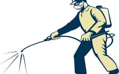 Prevent Costly Property Damage By Using Pest Inspection Services Weston FL Homeowners Trust