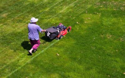 Improve Your Curb Appeal Using a Professional Landscaping Service Midland MI Residents Recommend